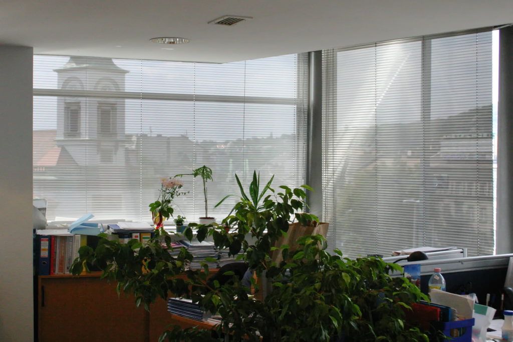 Reluxa -Szekszárd 1