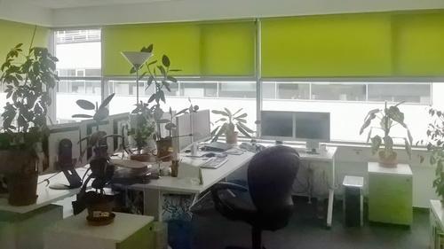 Zöld út a Rollstar rolettáknak