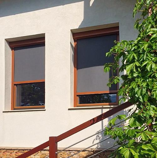 Napháló, az új kedvenc